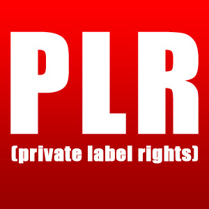 Powerful Methods for Using Private Label Rights (PLR) to Make Money