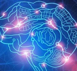 Using Mindfulness to Rewire the Brain